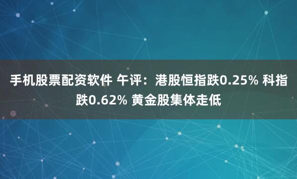 手机股票配资软件 午评：港股恒指跌0.25% 科指跌0.62% 黄金股集体走低