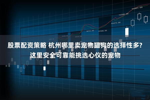 股票配资策略 杭州哪里卖宠物猫狗的选择性多?这里安全可靠能挑选心仪的宠物
