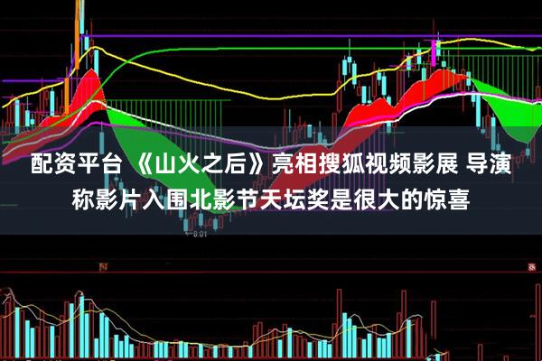 配资平台 《山火之后》亮相搜狐视频影展 导演称影片入围北影节天坛奖是很大的惊喜